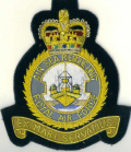 RAF COMMANDS BLAZER BADGE